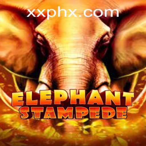 ElephantStampede: A Thrilling Adventure in the World of XXPH