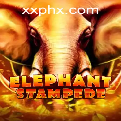 ElephantStampede: A Thrilling Adventure in the World of XXPH
